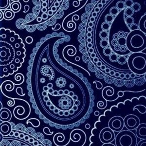 Meet your Posher, Roy